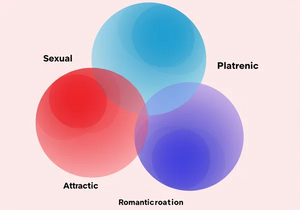 Spectrum of sexual, romantic, platonic attraction types